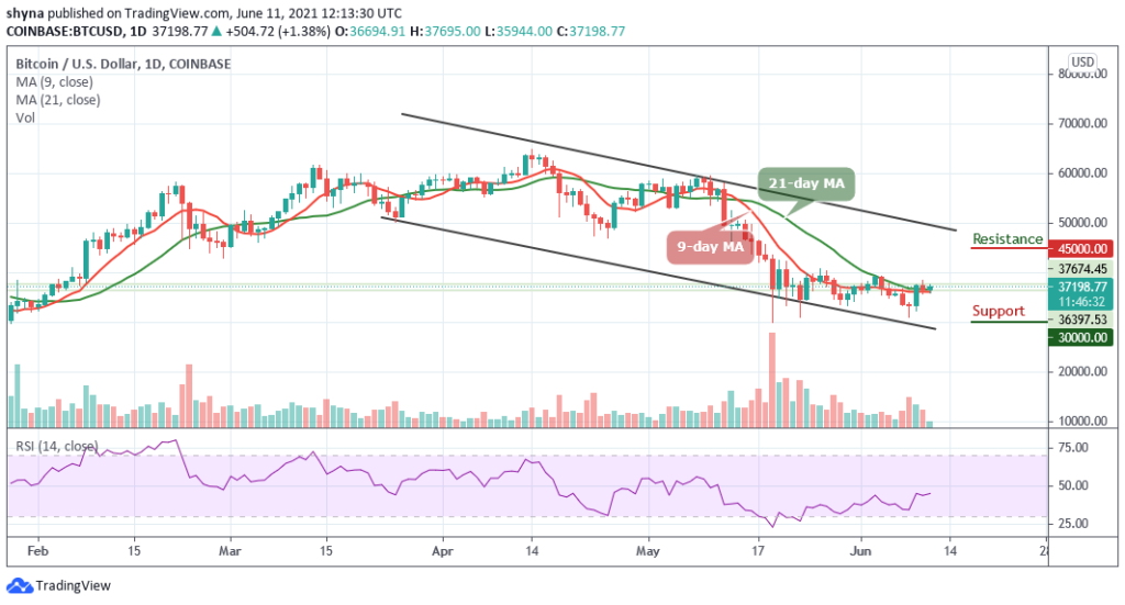 inch crypto price